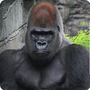 Meet your Posher, Tyrone